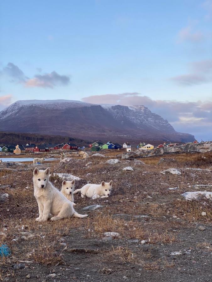 Hotel Disko Island Qeqertarsuaq Eksteriør bilde